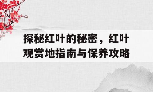 探秘红叶的秘密，红叶观赏地指南与保养攻略