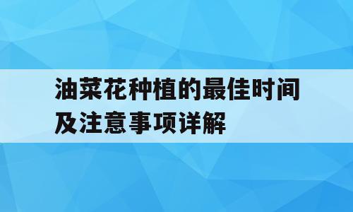 油菜花种植的最佳时间及注意事项详解