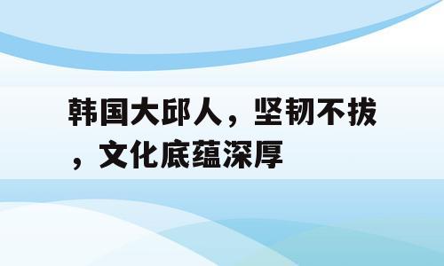 韩国大邱人，坚韧不拔，文化底蕴深厚