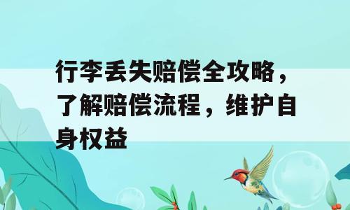 行李丢失赔偿全攻略，了解赔偿流程，维护自身权益