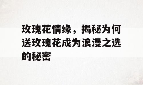 玫瑰花情缘，揭秘为何送玫瑰花成为浪漫之选的秘密