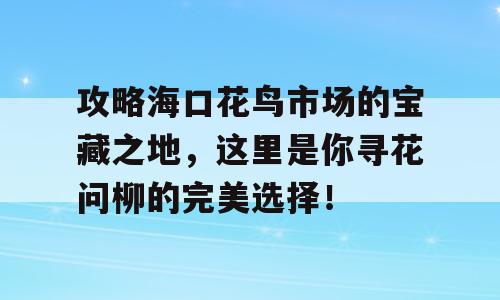 攻略海口花鸟市场的宝藏之地，这里是你寻花问柳的完美选择！