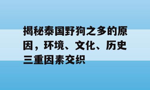 揭秘泰国野狗之多的原因，环境、文化、历史三重因素交织