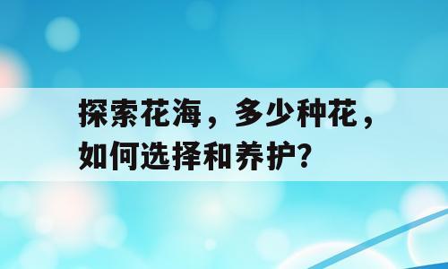 探索花海，多少种花，如何选择和养护？