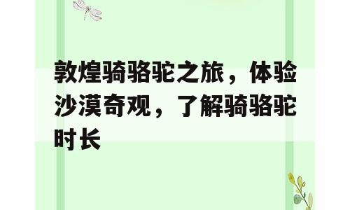 敦煌骑骆驼之旅，体验沙漠奇观，了解骑骆驼时长