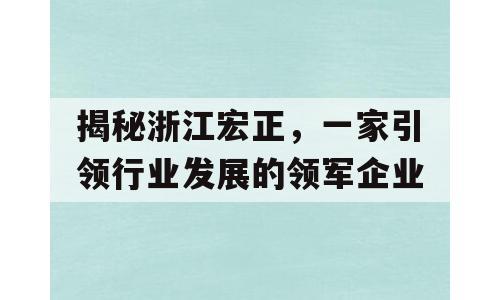 揭秘浙江宏正，一家引领行业发展的领军企业