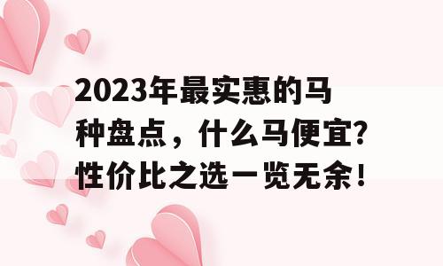 2023年最实惠的马种盘点，什么马便宜？性价比之选一览无余！