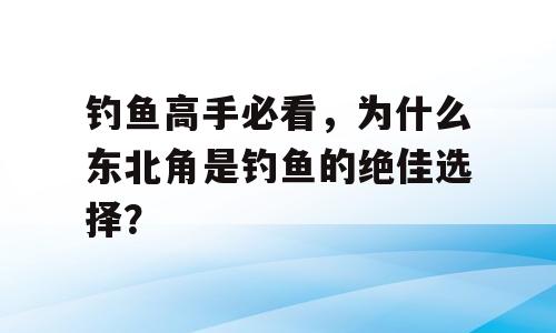 钓鱼高手必看，为什么东北角是钓鱼的绝佳选择？