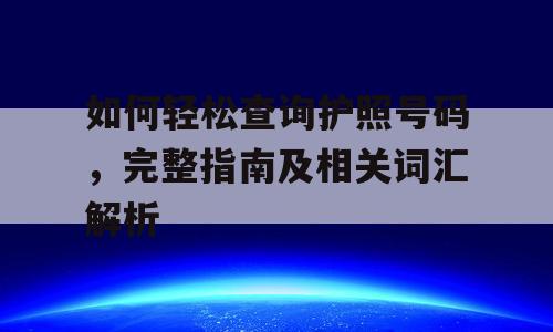 如何轻松查询护照号码，完整指南及相关词汇解析