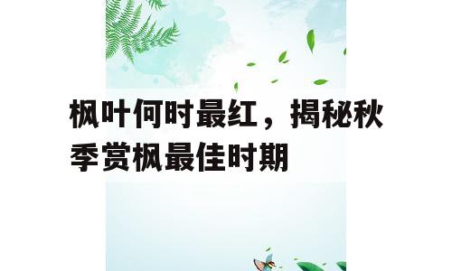 枫叶何时最红，揭秘秋季赏枫最佳时期