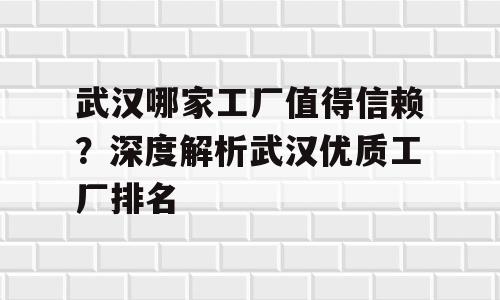 武汉哪家工厂值得信赖？深度解析武汉优质工厂排名