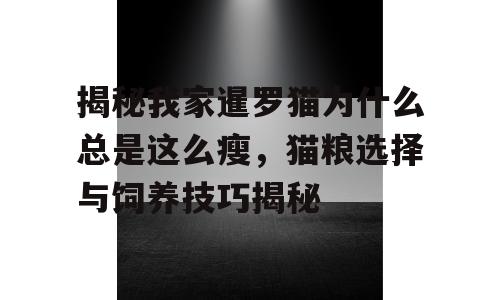 揭秘我家暹罗猫为什么总是这么瘦，猫粮选择与饲养技巧揭秘