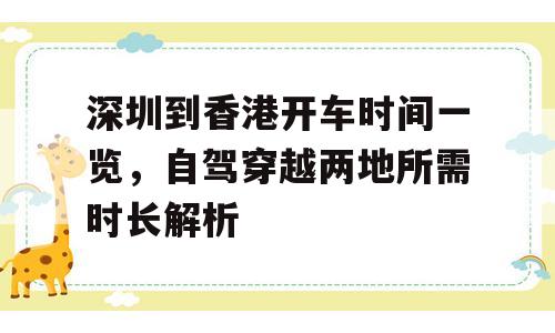 深圳到香港开车时间一览，自驾穿越两地所需时长解析
