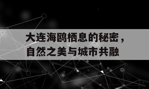 大连海鸥栖息的秘密，自然之美与城市共融