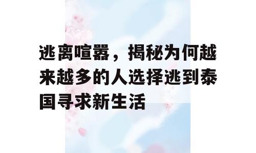 逃离喧嚣，揭秘为何越来越多的人选择逃到泰国寻求新生活