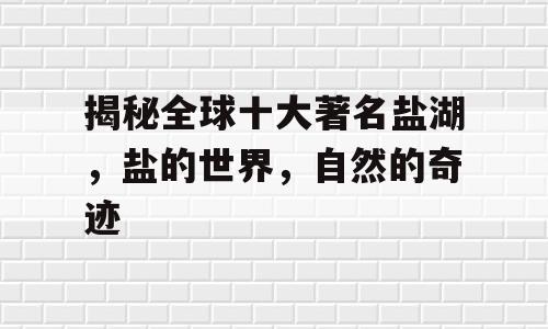 揭秘全球十大著名盐湖，盐的世界，自然的奇迹