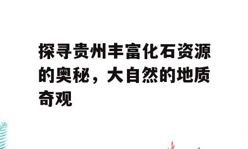 探寻贵州丰富化石资源的奥秘，大自然的地质奇观