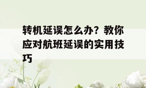 转机延误怎么办？教你应对航班延误的实用技巧
