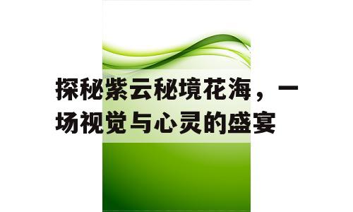 探秘紫云秘境花海，一场视觉与心灵的盛宴