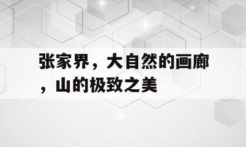 张家界，大自然的画廊，山的极致之美
