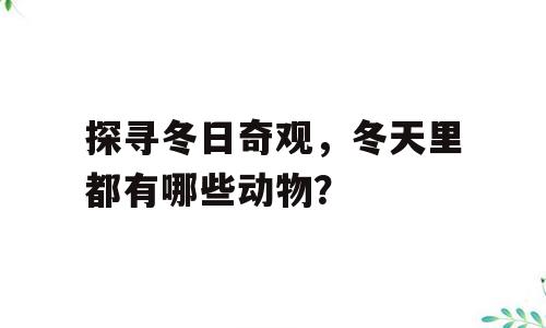 探寻冬日奇观，冬天里都有哪些动物？