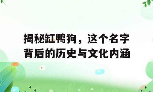 揭秘缸鸭狗，这个名字背后的历史与文化内涵