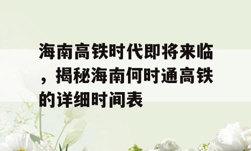 海南高铁时代即将来临，揭秘海南何时通高铁的详细时间表
