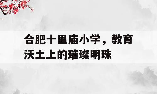 合肥十里庙小学，教育沃土上的璀璨明珠