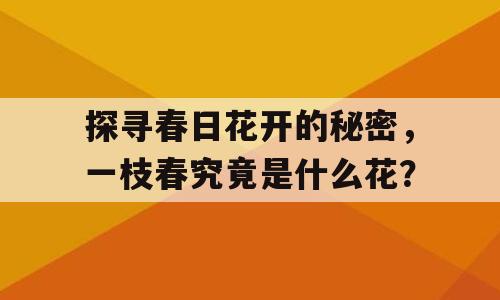 探寻春日花开的秘密，一枝春究竟是什么花？