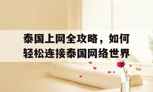 泰国上网全攻略，如何轻松连接泰国网络世界