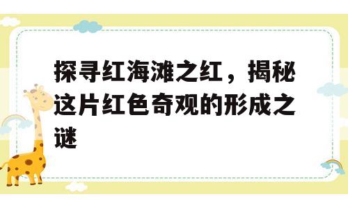 探寻红海滩之红，揭秘这片红色奇观的形成之谜