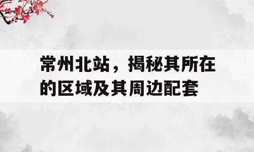 常州北站，揭秘其所在的区域及其周边配套