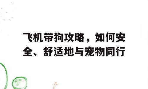 飞机带狗攻略，如何安全、舒适地与宠物同行