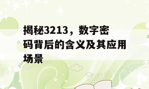 揭秘3213，数字密码背后的含义及其应用场景