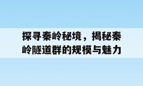 探寻秦岭秘境，揭秘秦岭隧道群的规模与魅力