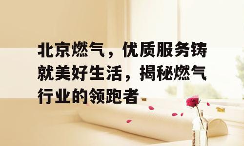 北京燃气，优质服务铸就美好生活，揭秘燃气行业的领跑者