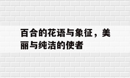 百合的花语与象征，美丽与纯洁的使者