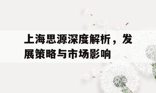 上海思源深度解析，发展策略与市场影响