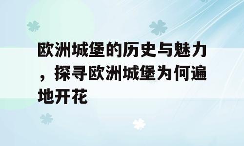 欧洲城堡的历史与魅力，探寻欧洲城堡为何遍地开花