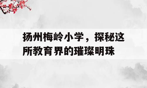 扬州梅岭小学，探秘这所教育界的璀璨明珠
