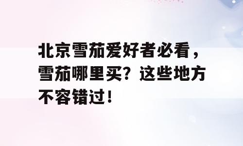 北京雪茄爱好者必看，雪茄哪里买？这些地方不容错过！