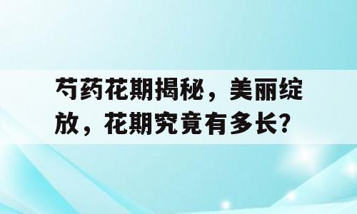 芍药花期揭秘，美丽绽放，花期究竟有多长？