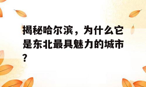 揭秘哈尔滨，为什么它是东北最具魅力的城市？