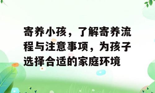 寄养小孩，了解寄养流程与注意事项，为孩子选择合适的家庭环境
