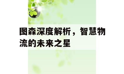 图森深度解析，智慧物流的未来之星