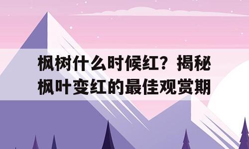 枫树什么时候红？揭秘枫叶变红的最佳观赏期