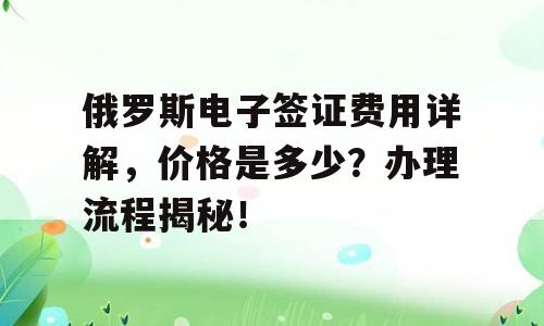 俄罗斯电子签证费用详解，价格是多少？办理流程揭秘！