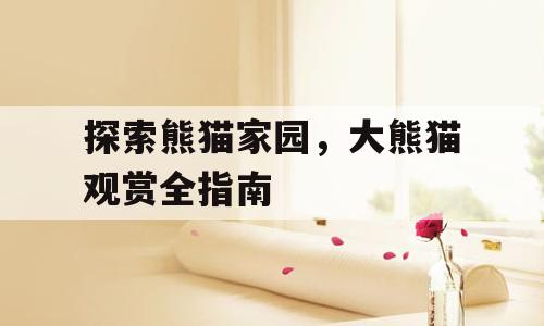 探索熊猫家园，大熊猫观赏全指南