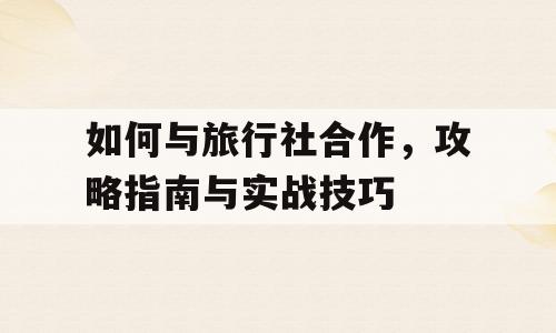 如何与旅行社合作，攻略指南与实战技巧