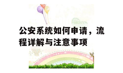 公安系统如何申请，流程详解与注意事项